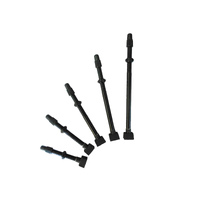 Valve Tubeless Alloy UST Compatible Removable Valve Bevato BWT-L2 90mm