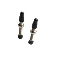 Valves Tubeless Brass 40mm UST (Pair) Removable Valve Power Peak Premium