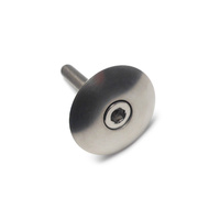 Stem Cap Titanium with Titanium Screw 1-1/8" Tiremet TCS118