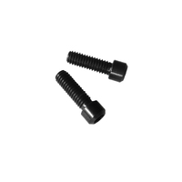 Cap Screw Titanium Socket Pair for Locking Grips M4 x 12mm x 5.5mm Head Black