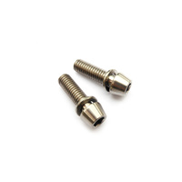 Titanium Screw Grade 5 Tapered Head (Pair) M5 x 18mm suit Head Stem Silver