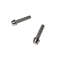 Titanium Screw Grade 5 Tapered Head (Pair) M5 x 22mm suit Head Stem etc. Silver