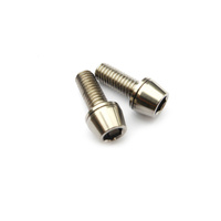 Titanium Screw Grade 5 Tapered Head (Pair) M6 x 18mm for Stem Caliper etc Silver