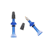 Valves Pair Tubeless Alloy 40mm Removable Valve Saint Blue