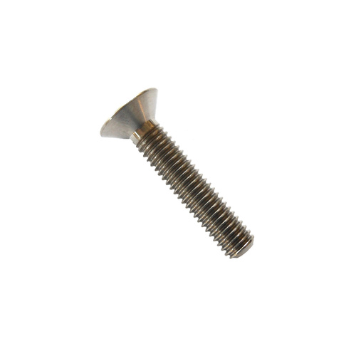 Head Stem Top Screw Stainless Tapered Head 6mm x 30mm Silver