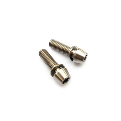 Titanium Screw Grade 5 Tapered Head (Pair) M5 x 18mm suit Head Stem Silver